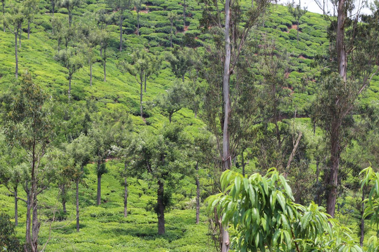 Rustling River Resort Ooty Luaran gambar